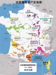 法国产区,探寻法国葡萄酒的瑰宝之地